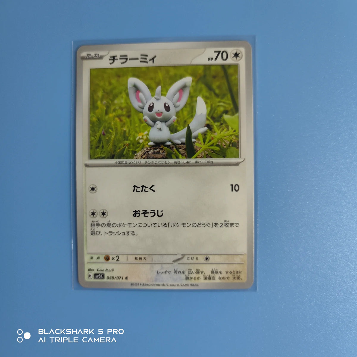 Minccino (JP) 059/071 (Wild Force)