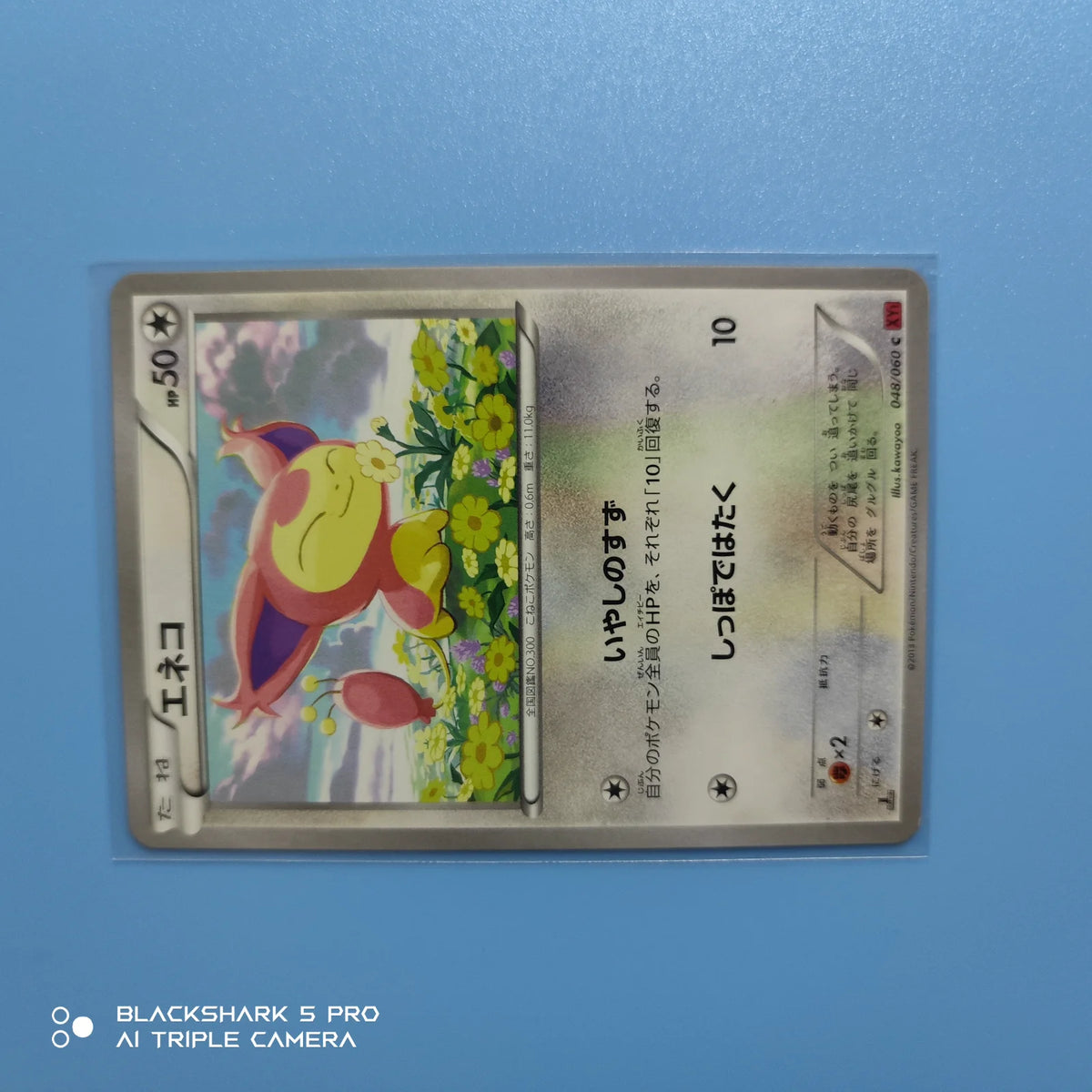 Skitty (JP) 048/060 (Collection Y)