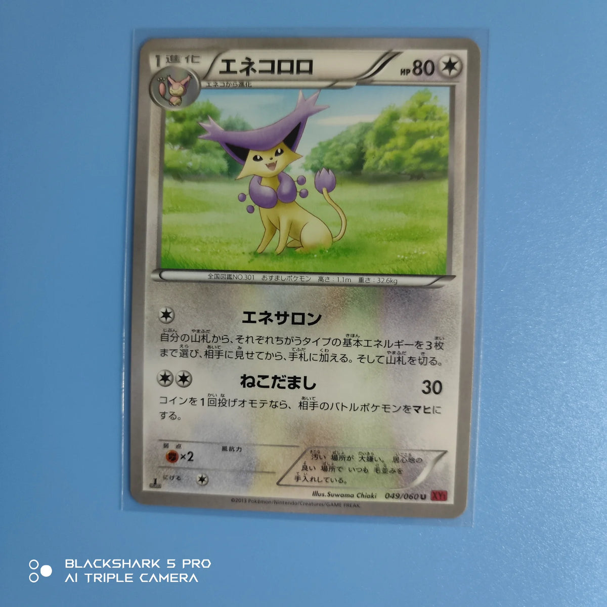 Delcatty (JP) 049/060 (Collection Y)