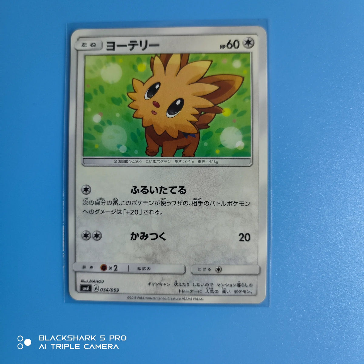 Lillipup (JP) 034/059 (Starter Set Decks)