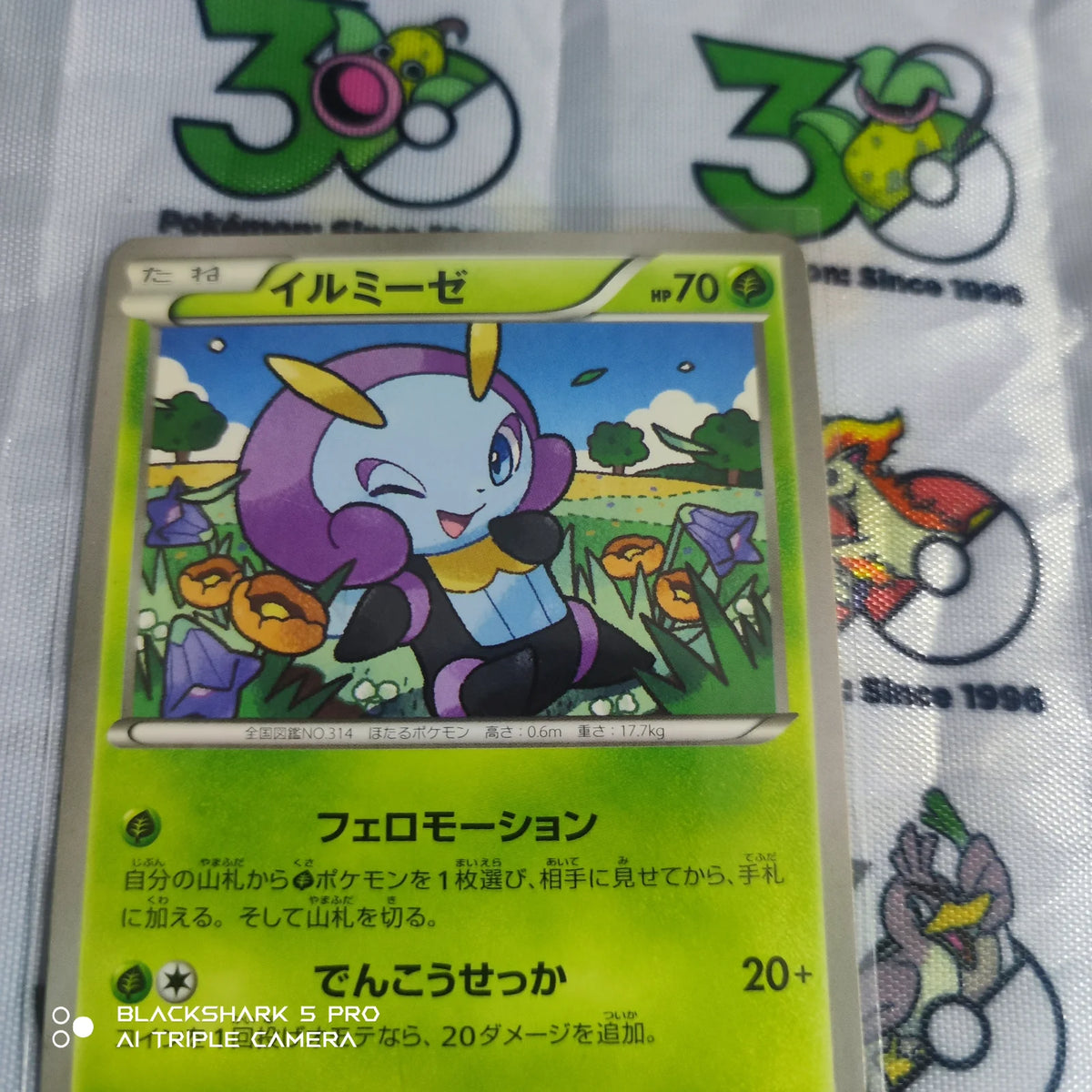 Illumise (JP) 006/060 (Collection Y)