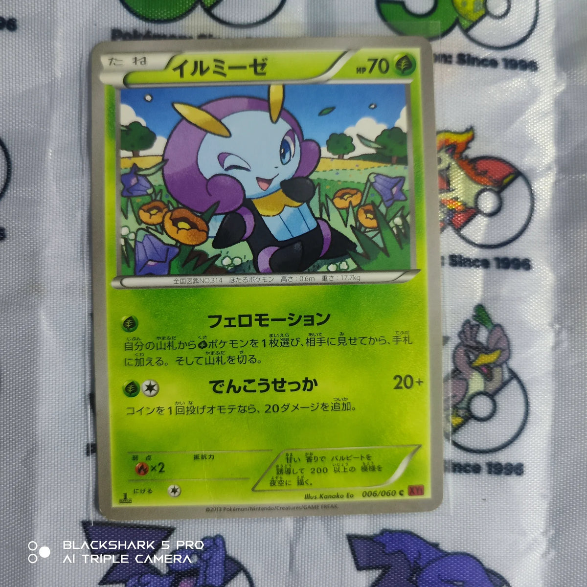 Illumise (JP) 006/060 (Collection Y)