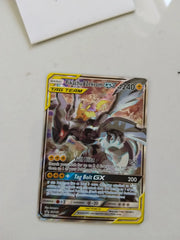 Pikachu And Zekrom Tag Team GX promo