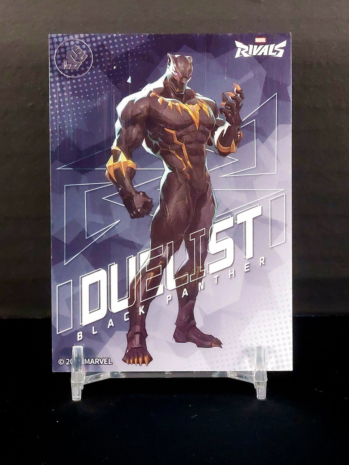 BLACK PANTHER #MR-C-06 - 2026 CardFun Marvel Rivals: Eternal Glory, Hero Roles Series