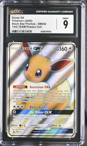Eevee GX SM242 (Sun & Moon Promo) — CGC 9