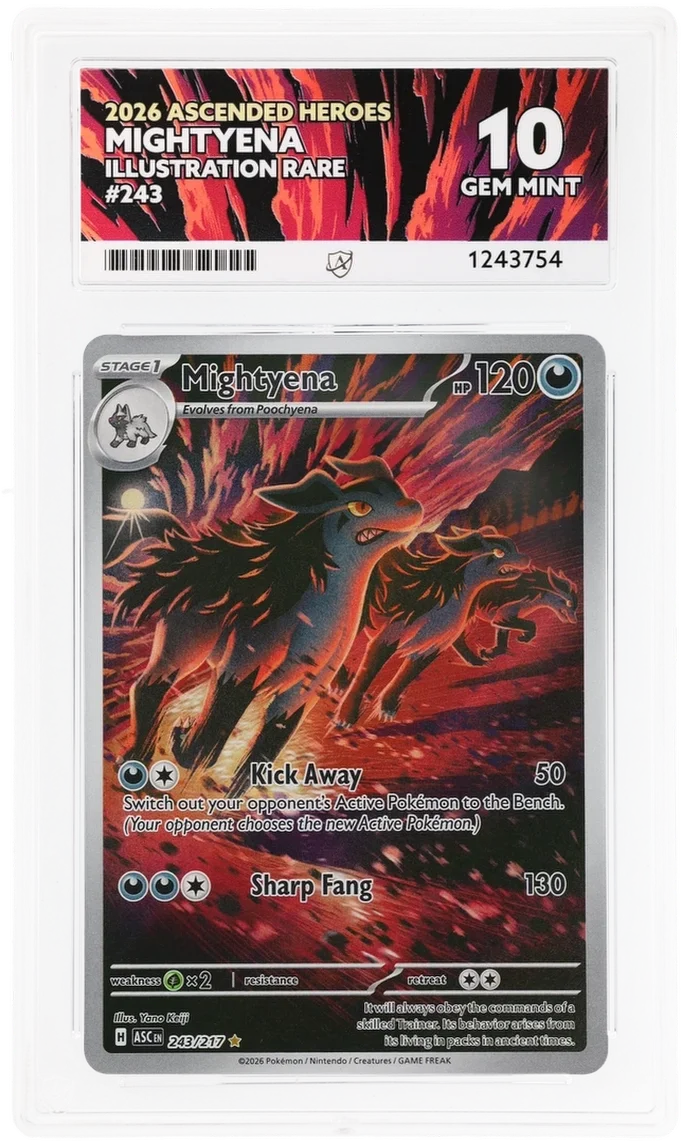 Mightyena 243/217 (Ascended Heroes) — ACE 10
