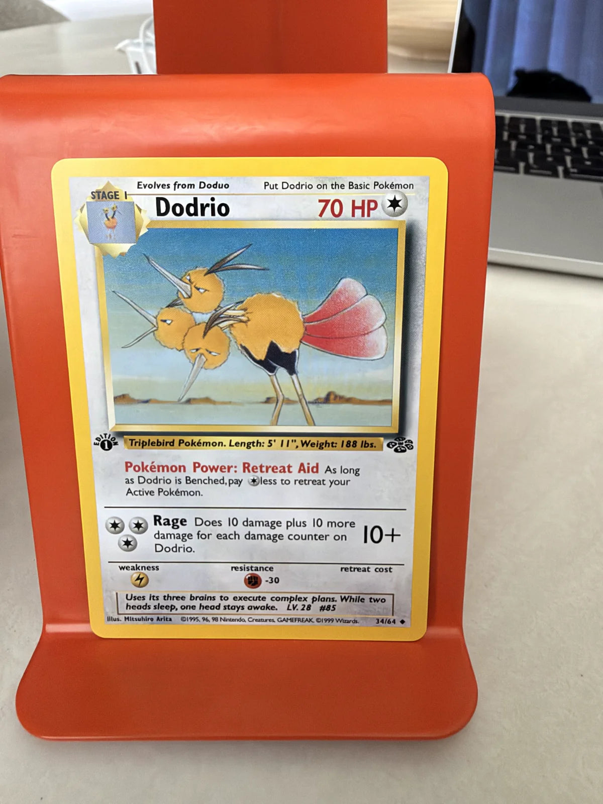 Dodrio 34 · Jungle - 1st Edition Vintage