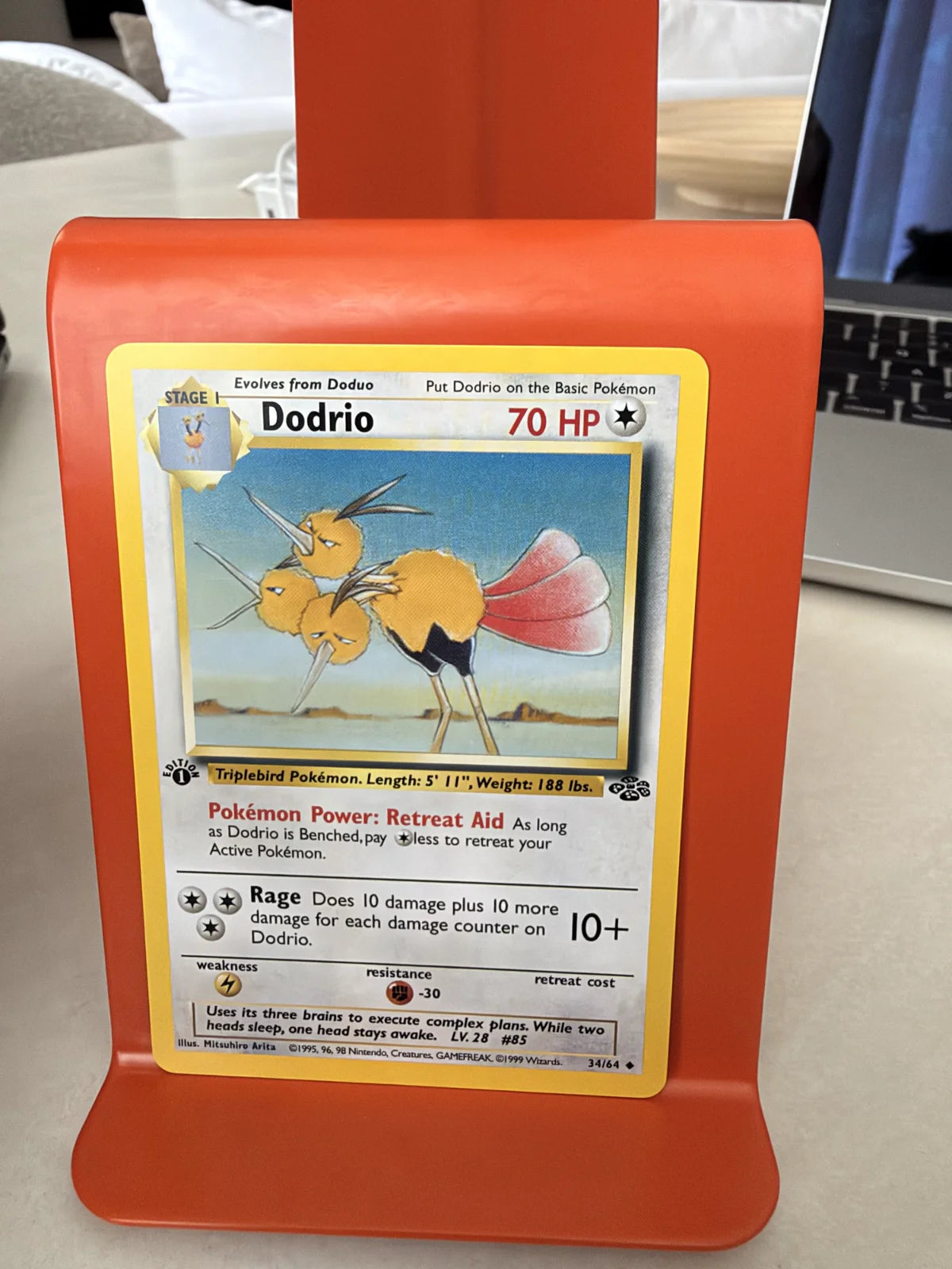 Dodrio 34 · Jungle - 1st Edition Vintage