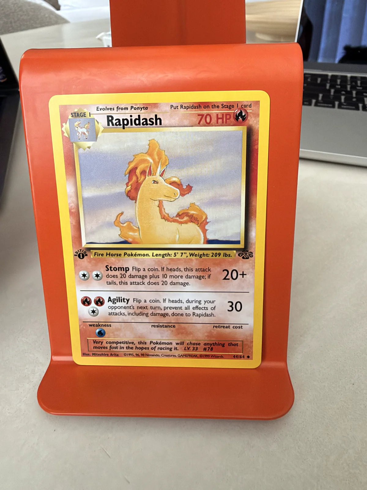 Rapidash 44 · Jungle - 1st Edition Vintage