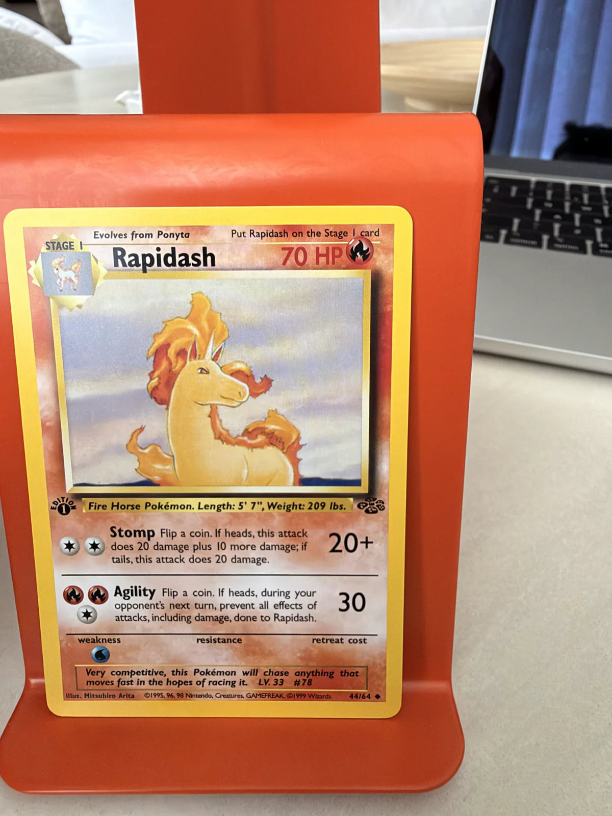 Rapidash 44 · Jungle - 1st Edition Vintage