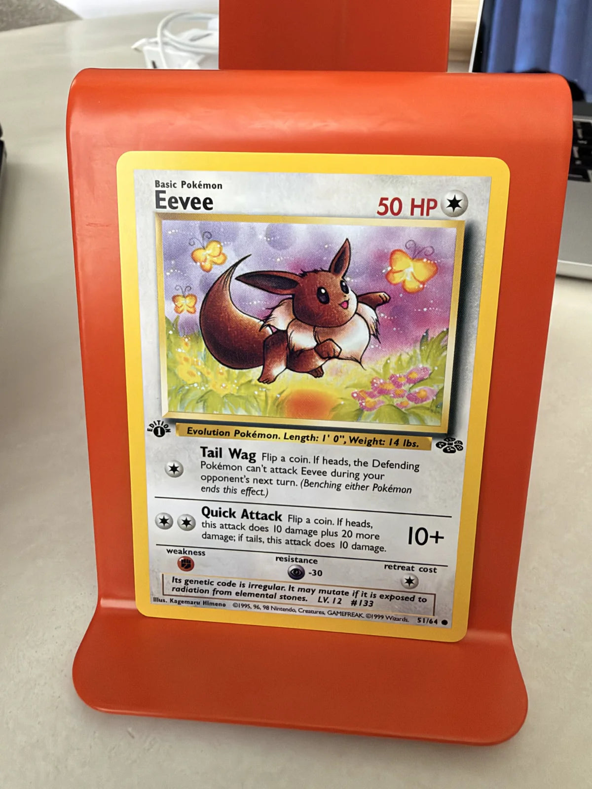 Eevee 51 · Jungle - 1st Edition Vintage