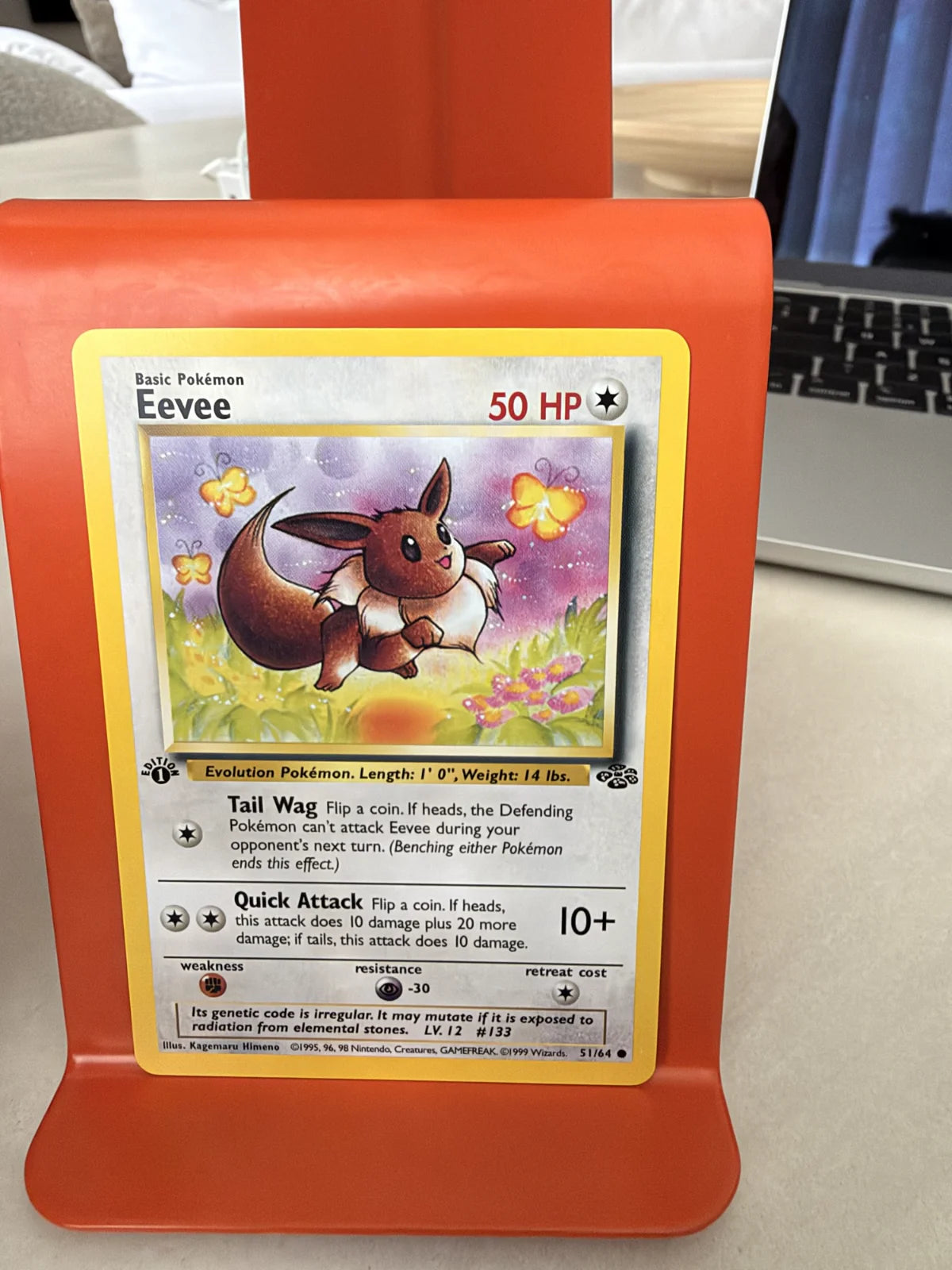 Eevee 51 · Jungle - 1st Edition Vintage