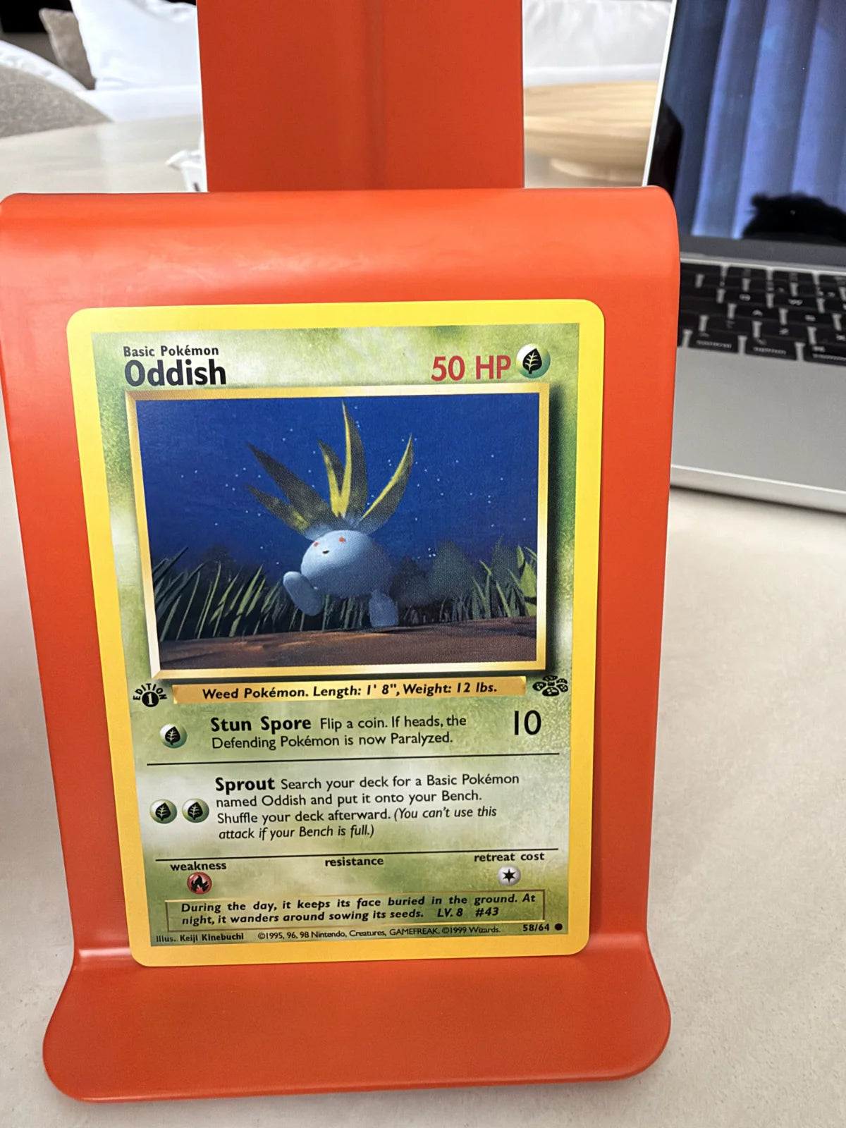 Oddish 58 · Jungle - 1st Edition Vintage
