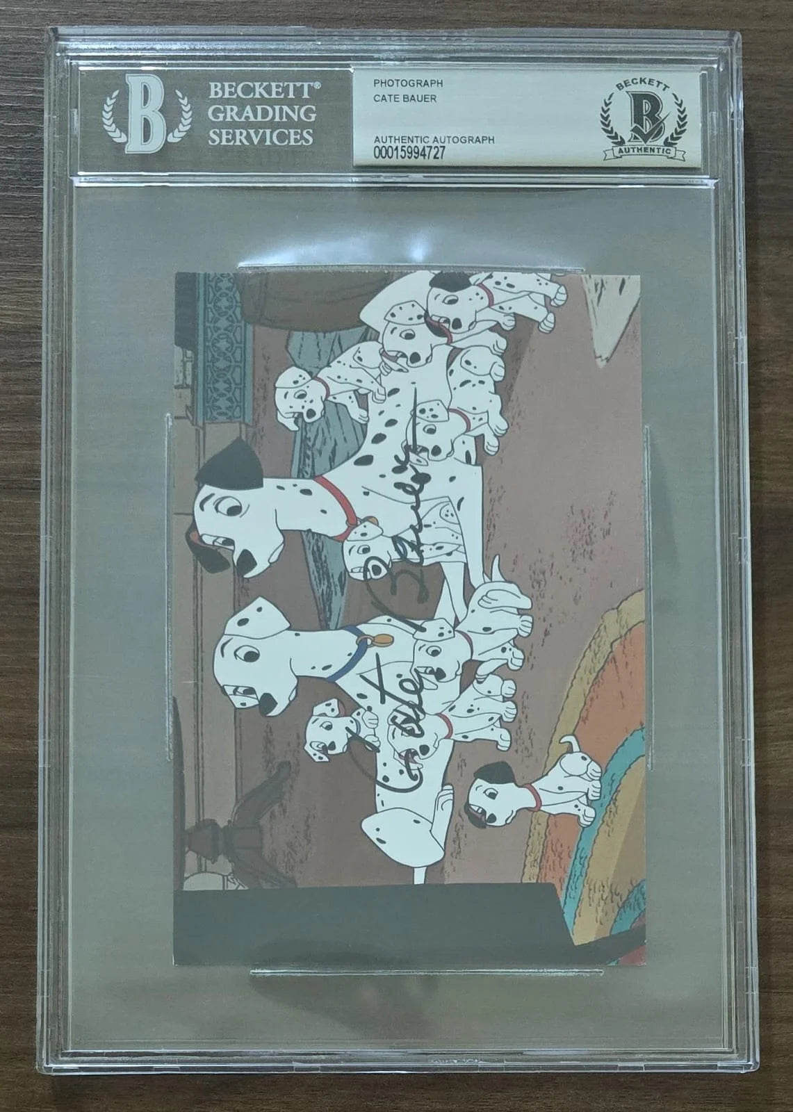 Disney’s 101 Dalmatians photograph, signed by Cate Bauer. Beckett-certified authentic autograph.