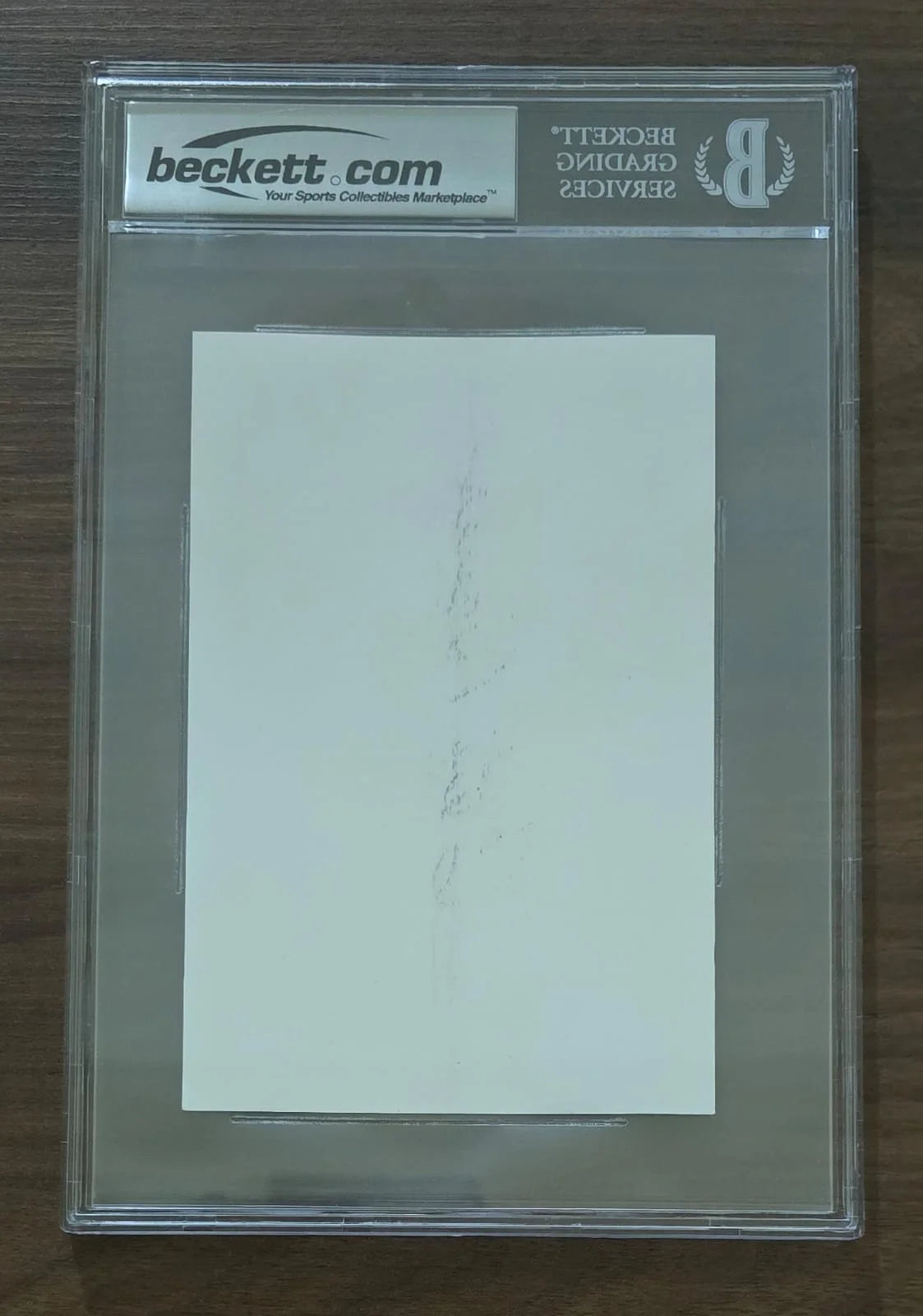 Disney’s 101 Dalmatians photograph, signed by Cate Bauer. Beckett-certified authentic autograph.