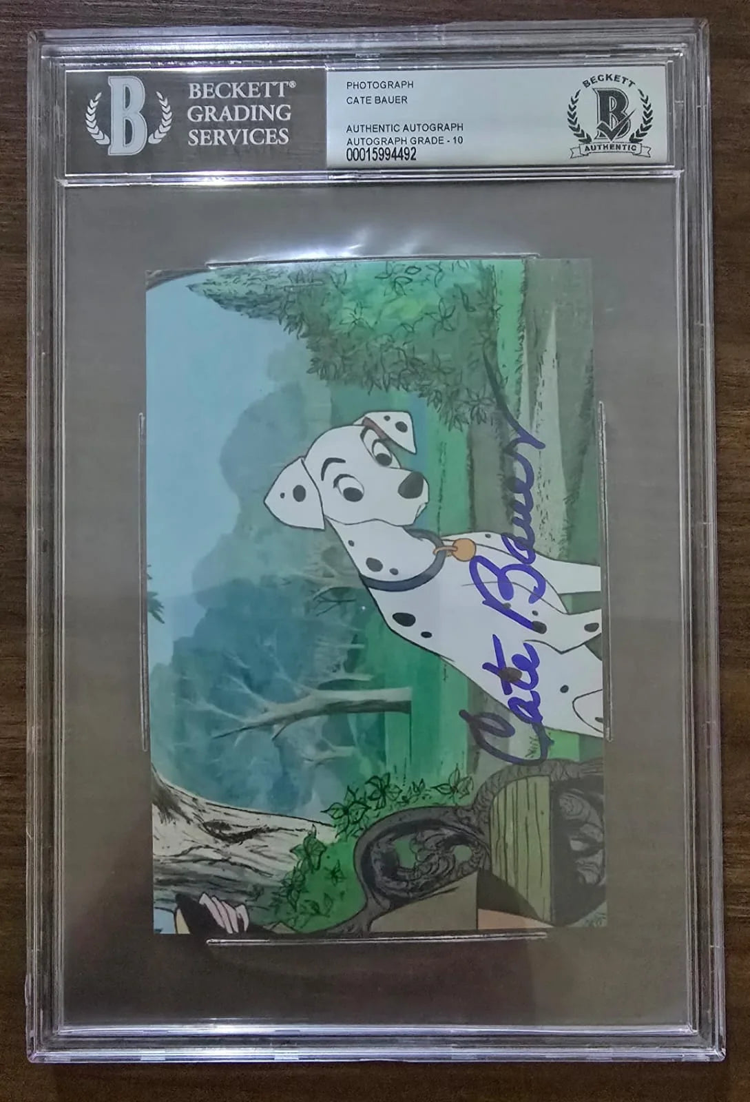 Signed photograph of an animated Dalmatian, autographed by Cate Bauer. Beckett authenticated the autograph