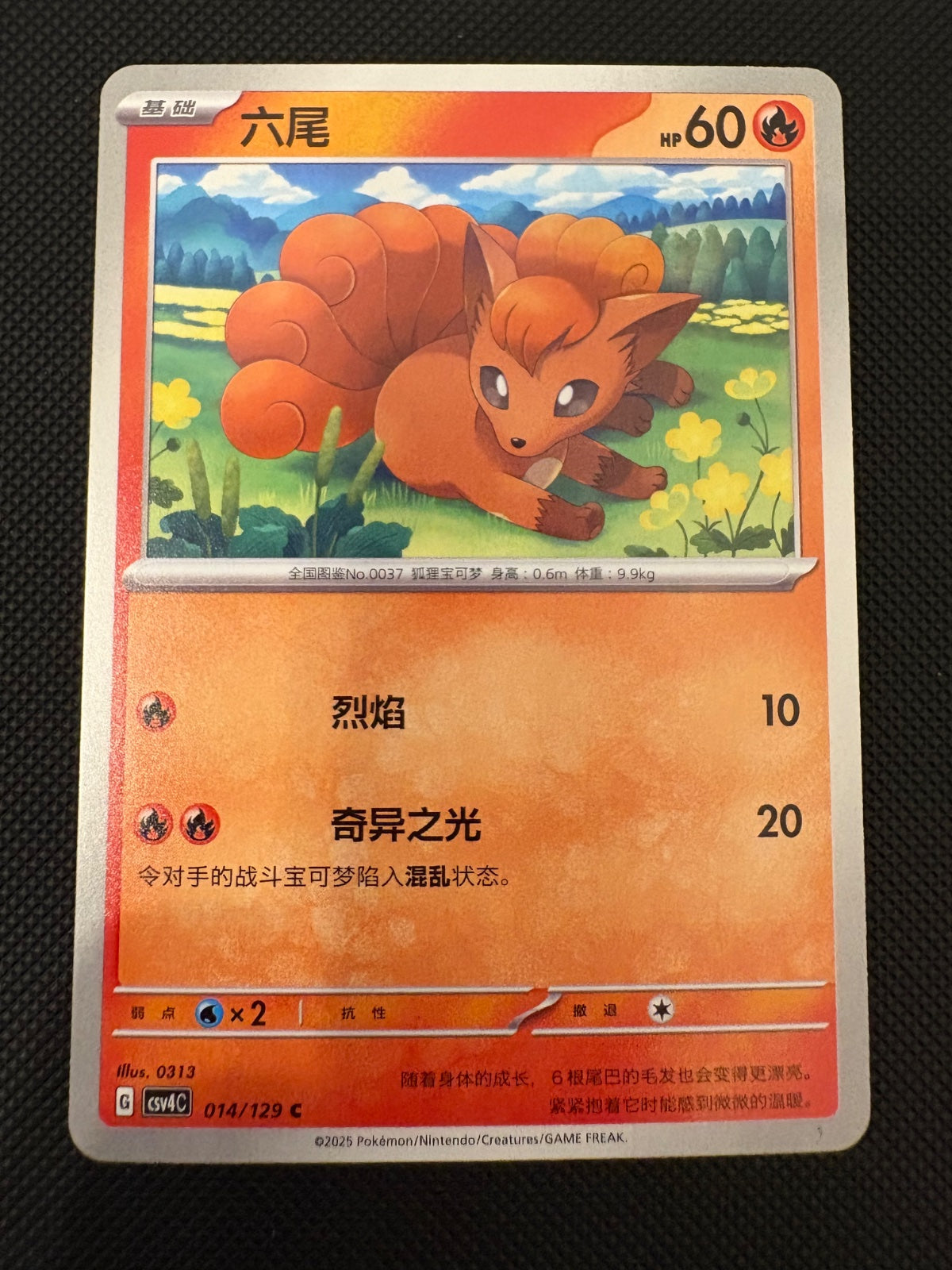 Vulpix #14