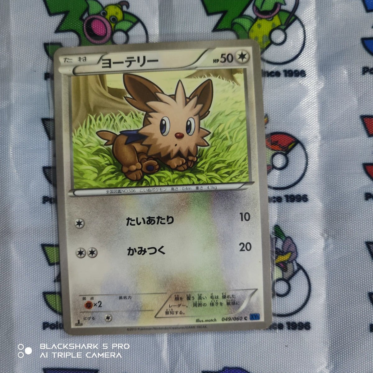 Lillipup (JP) 049/060 (Collection X)