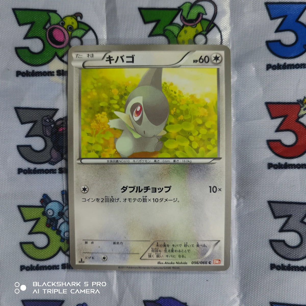 Axew (JP) 056/066 ((Red Collection,BW2))