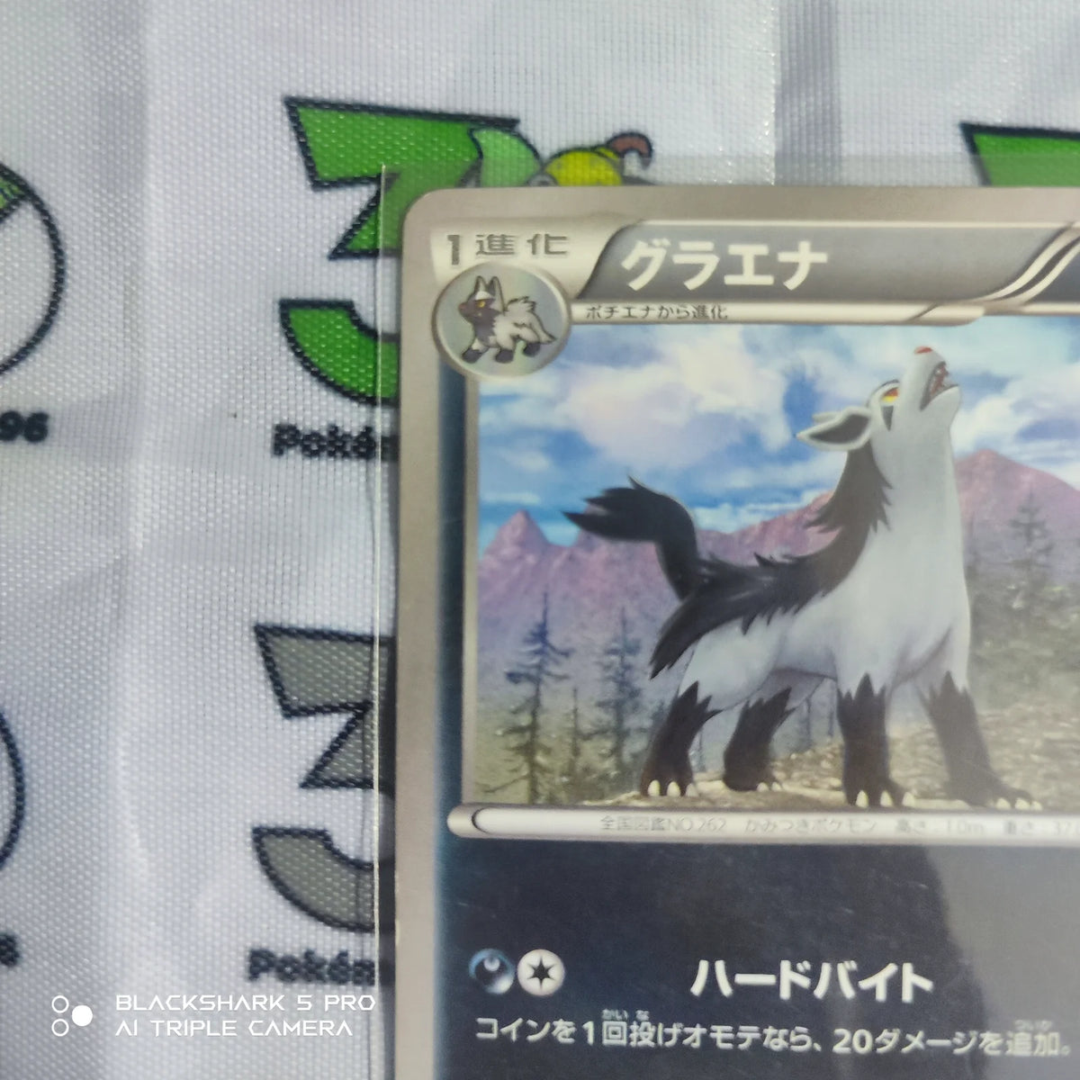 Mightyena (JP) 017/039 ((XY Beginning Set, Kalos Starter Set))