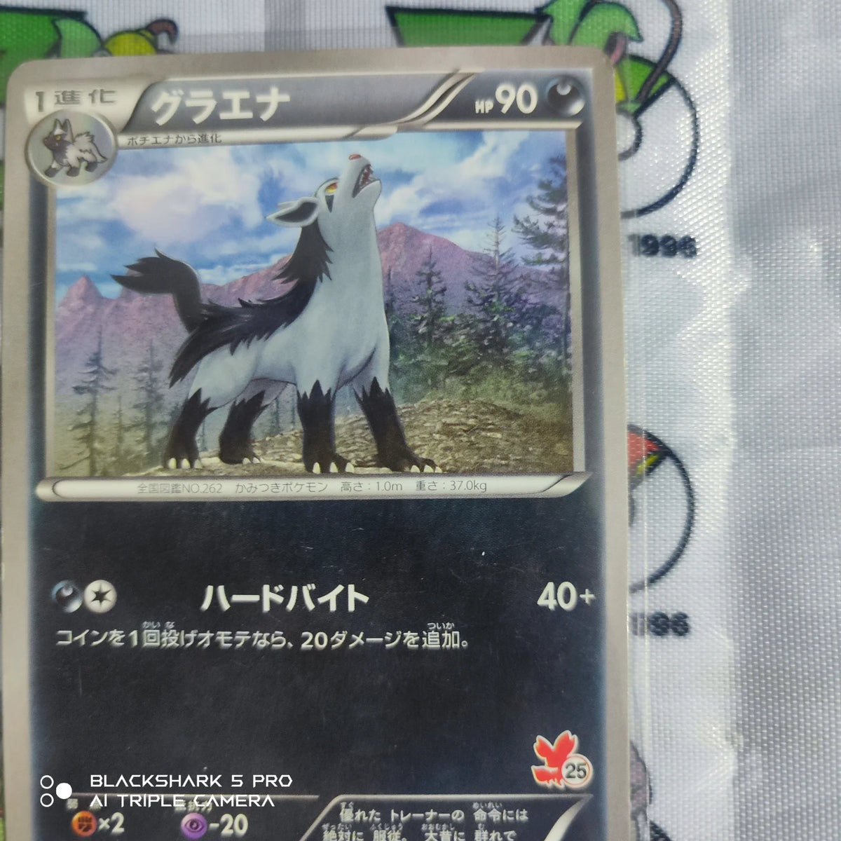 Mightyena (JP) 017/039 ((XY Beginning Set, Kalos Starter Set))