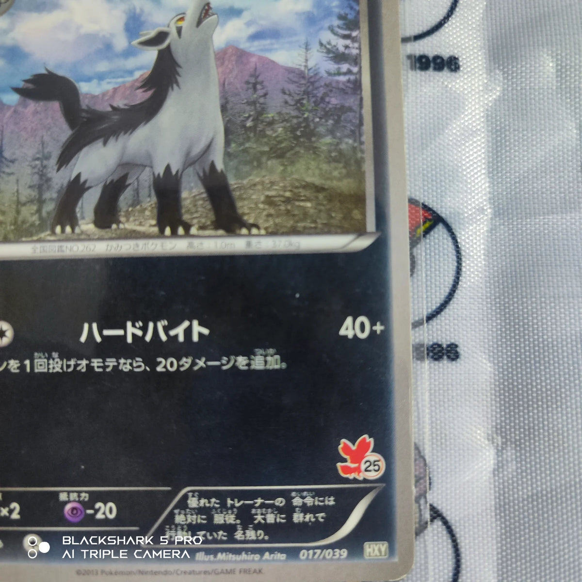 Mightyena (JP) 017/039 ((XY Beginning Set, Kalos Starter Set))