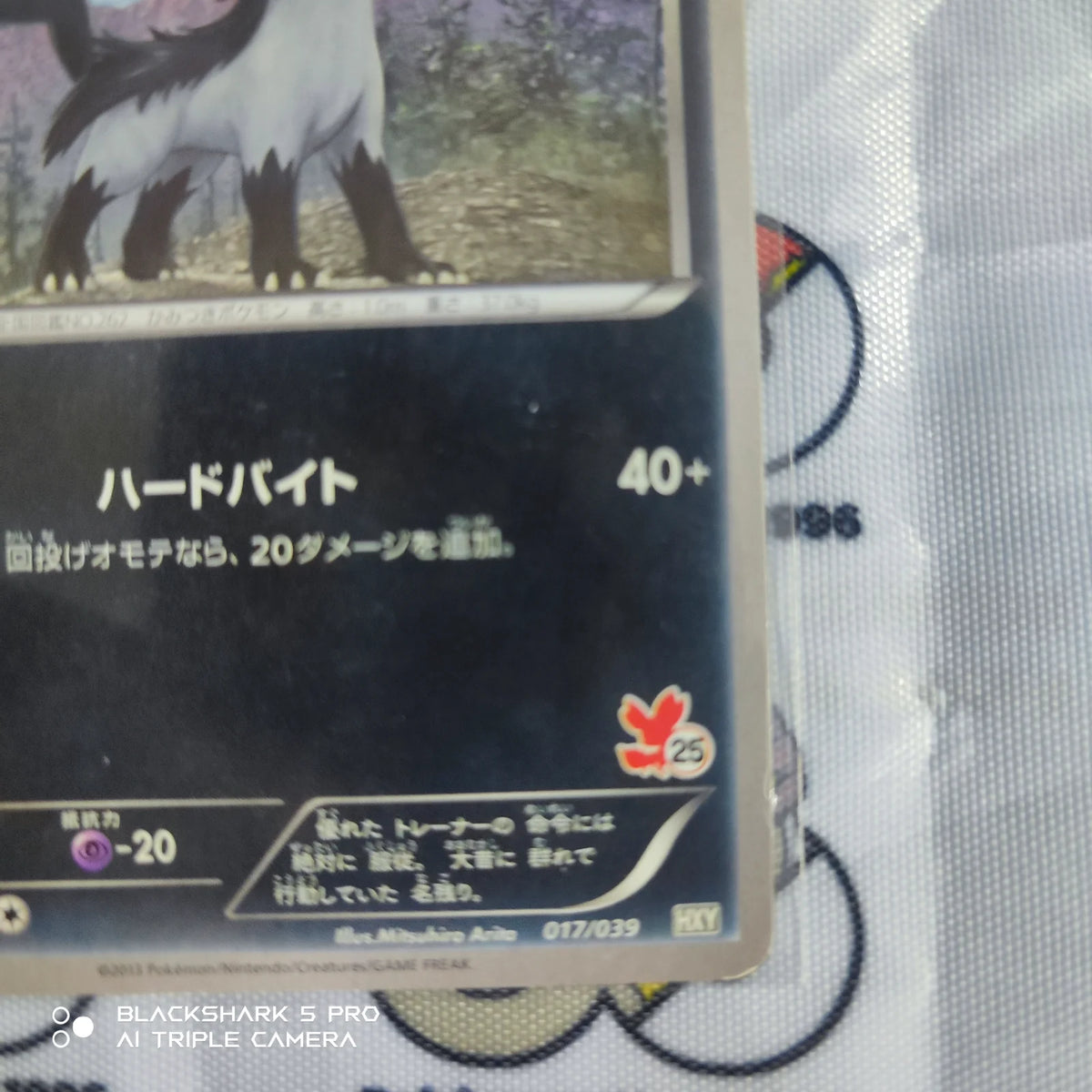 Mightyena (JP) 017/039 ((XY Beginning Set, Kalos Starter Set))