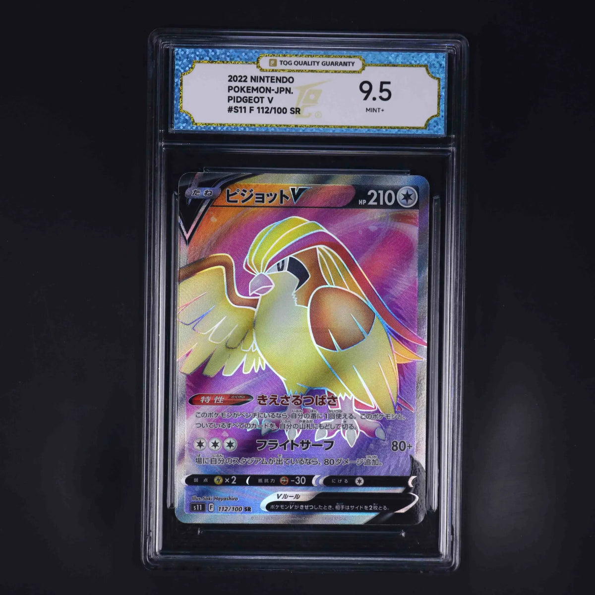 PIDGEOT V