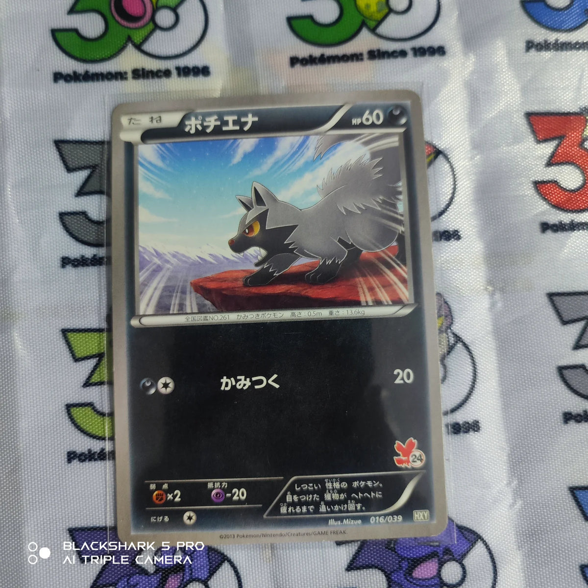 Poochyena (JP) 016/039 ((XY Beginning Set, Kalos Starter Set))