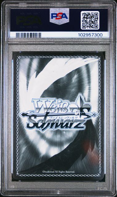 2023 CHAINSAW MAN weiss schwarz by Luffy Collects on MYNTED