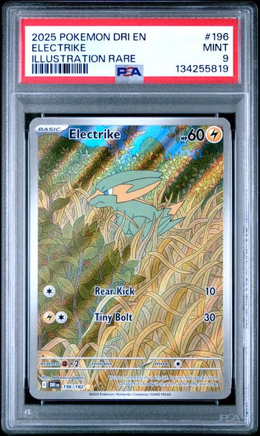 2025 POKEMON DRI EN - DESTINED RIVALS 196 ELECTRIKE ILLUSTRATION RARE by PokeMagic on MYNTED