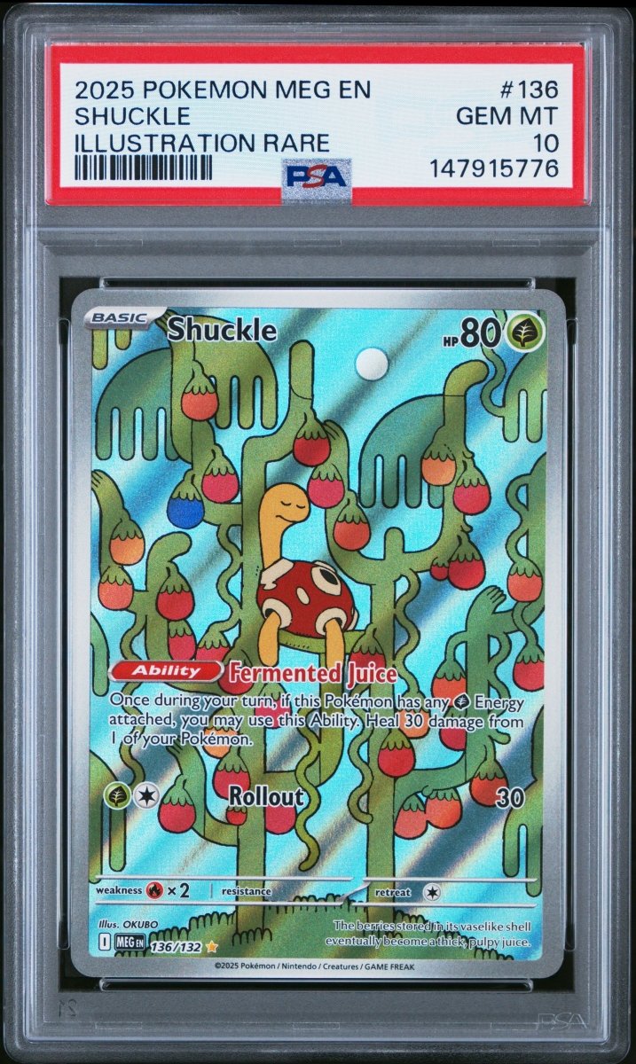 2025 Pokémon Mega Evolution 136 Shuckle - Illustration Rare - PSA 10 by Compiler AE on MYNTED