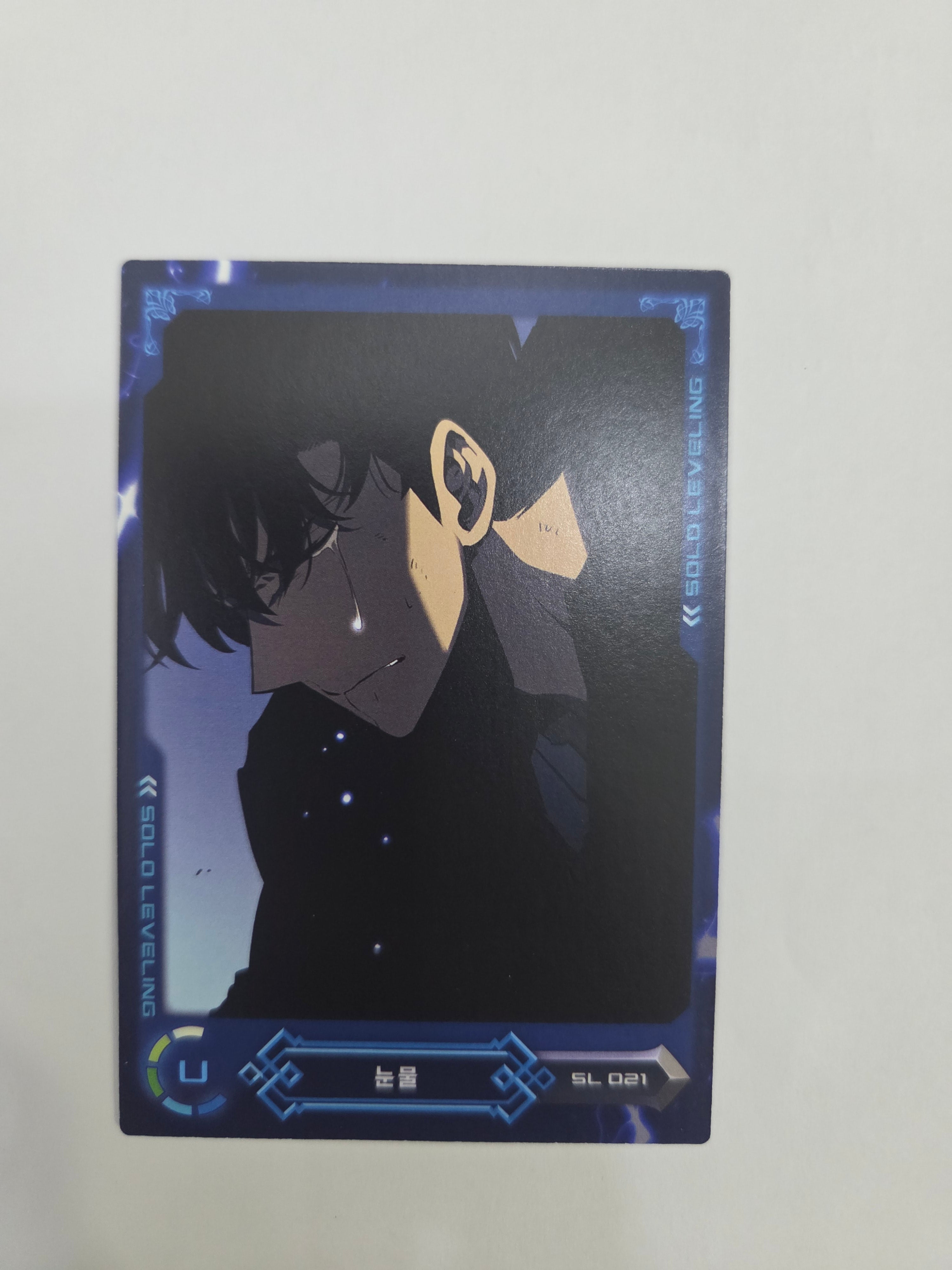 Solo Leveling Korean Manhwa Collecting Card Vol.1 SL #021 U