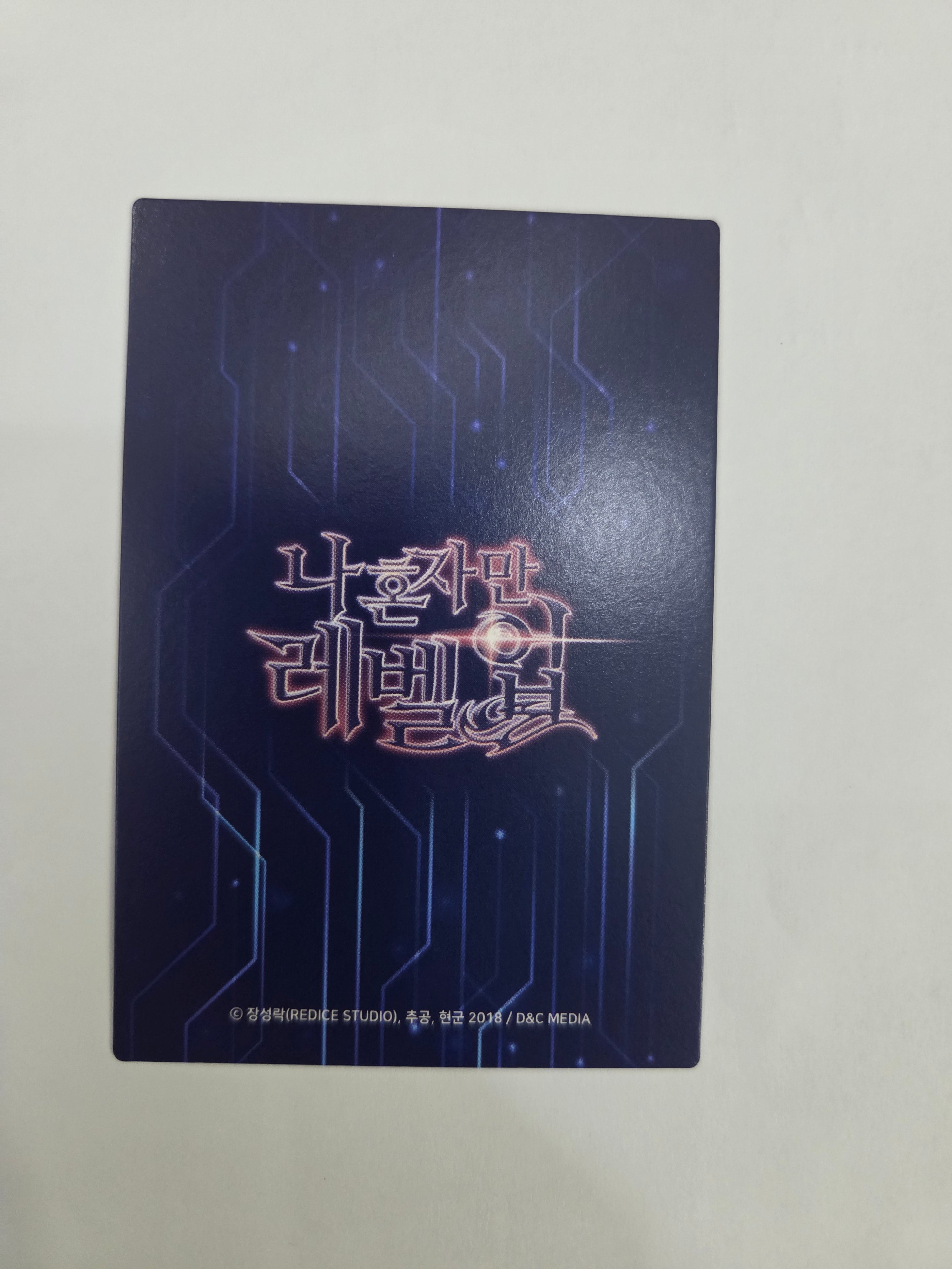 Solo Leveling Korean Manhwa Collecting Card Vol.1 SL #021 U