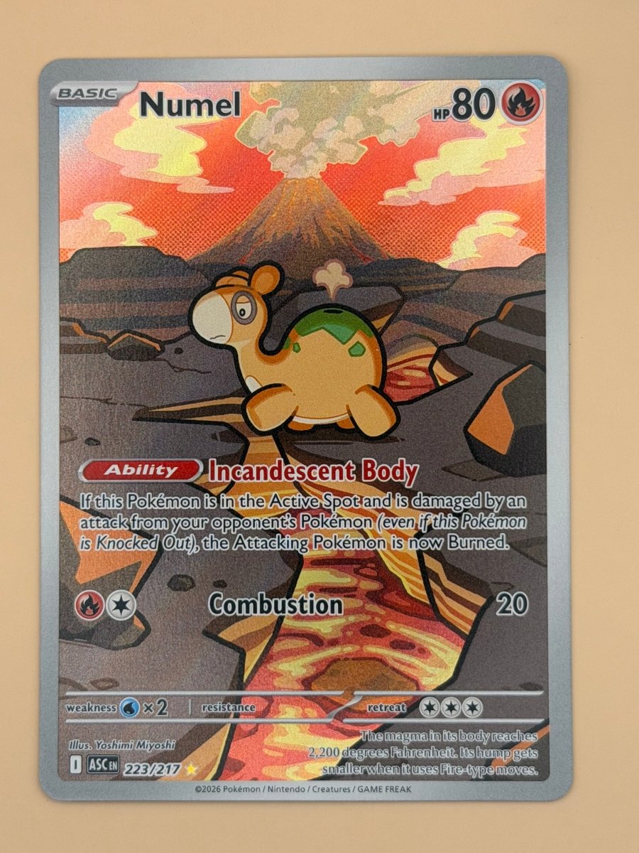 223/217 Numel - Ascended Heroes by Poké Zen DXB on MYNTED