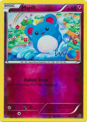 Pokemon - Marill (76/114) - XY Steam Siege - Reverse Holo