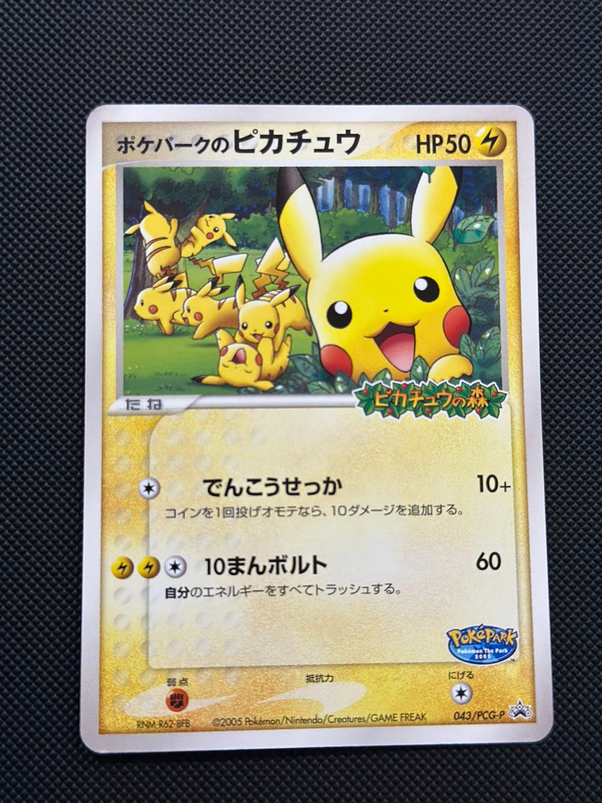 PokePark's Pikachu (JP) PCG-P Promos Promo • 043/PCG-P Normal