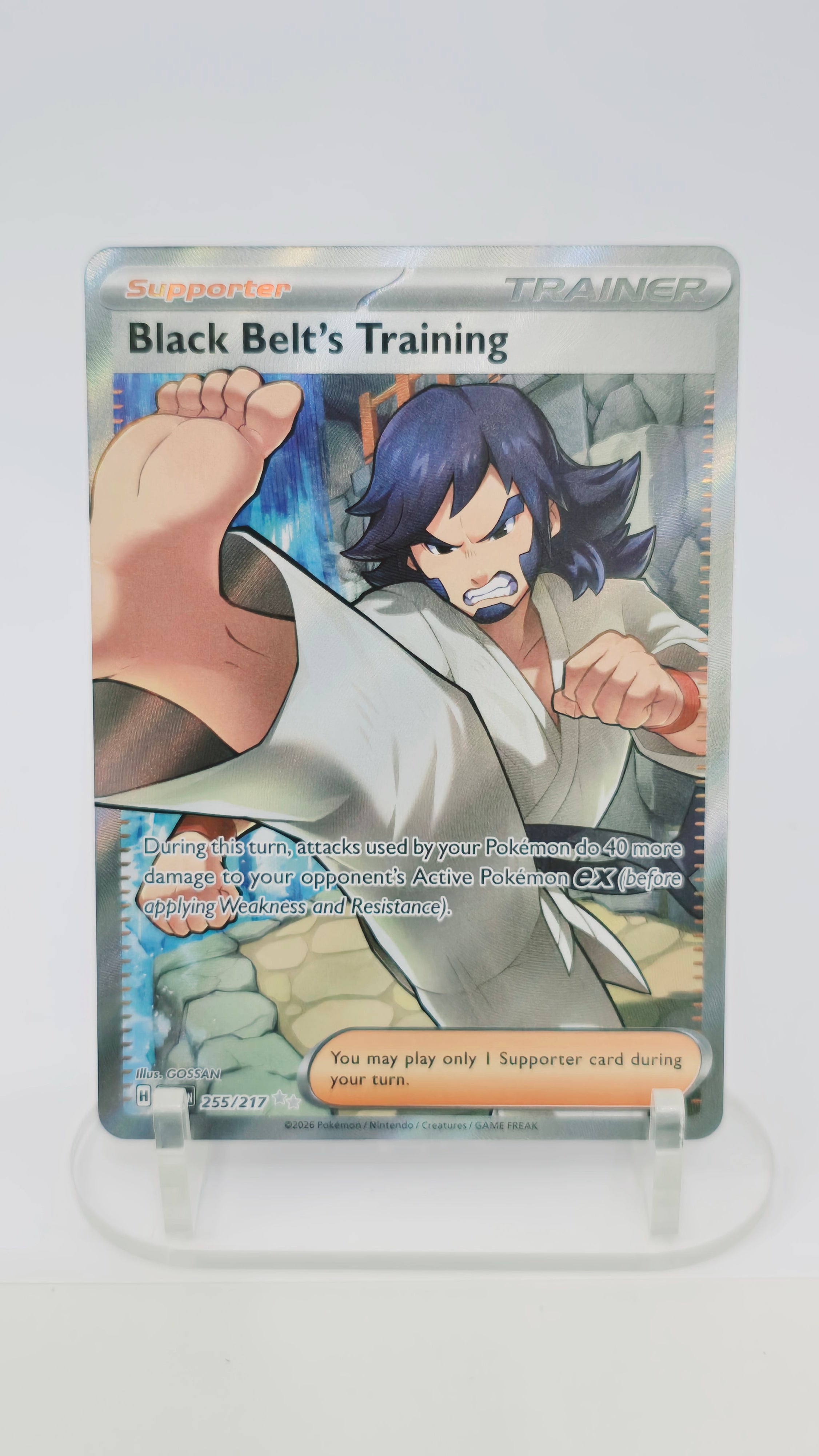 Black Belt's Training - Ascended Heroes - UR 255/217 - English