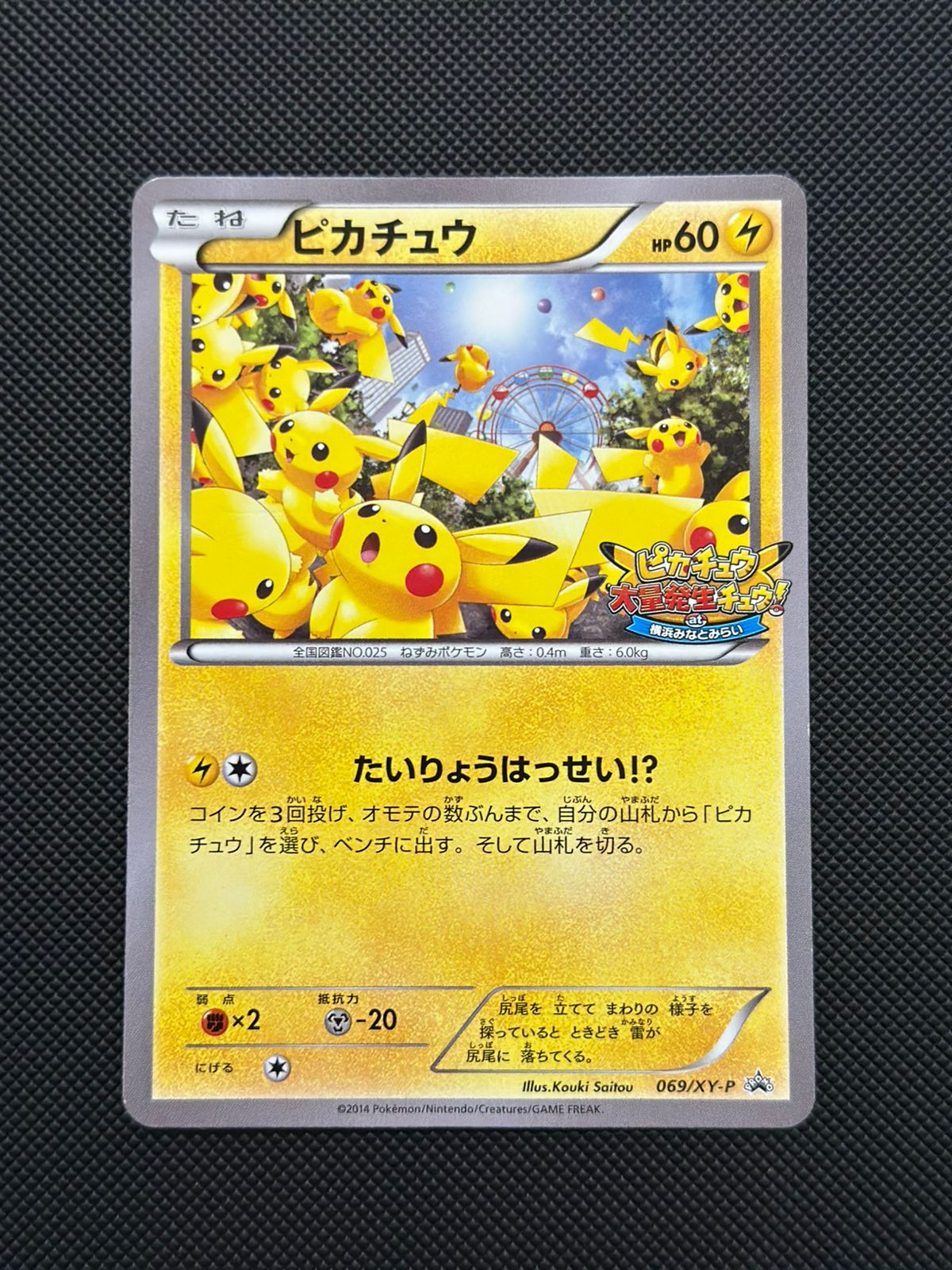 Pikachu (JP) XY Promos (JP) Common • 069/XY-P Normal