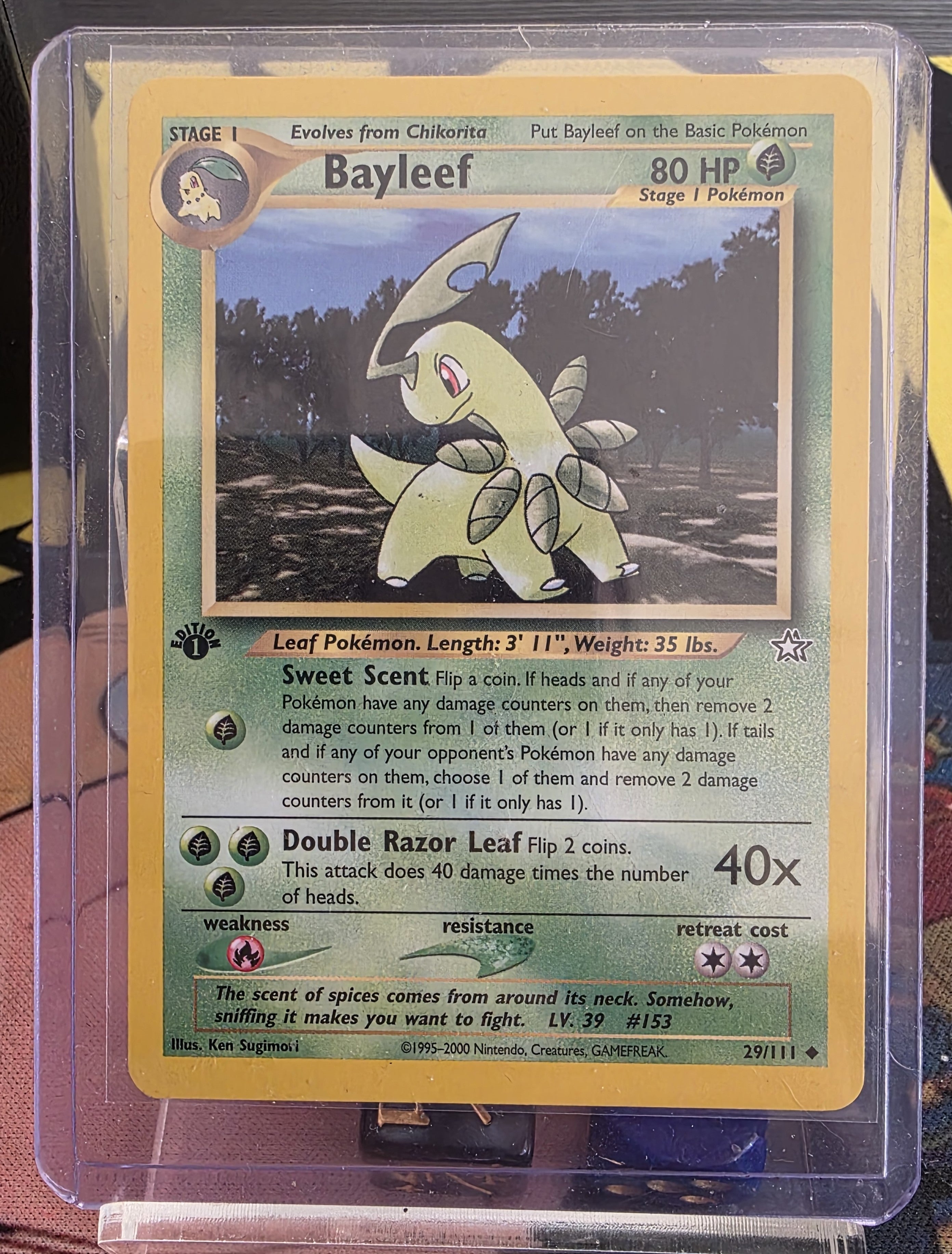 Bayleef (1st Edition) 29/111 - Neo Genesis