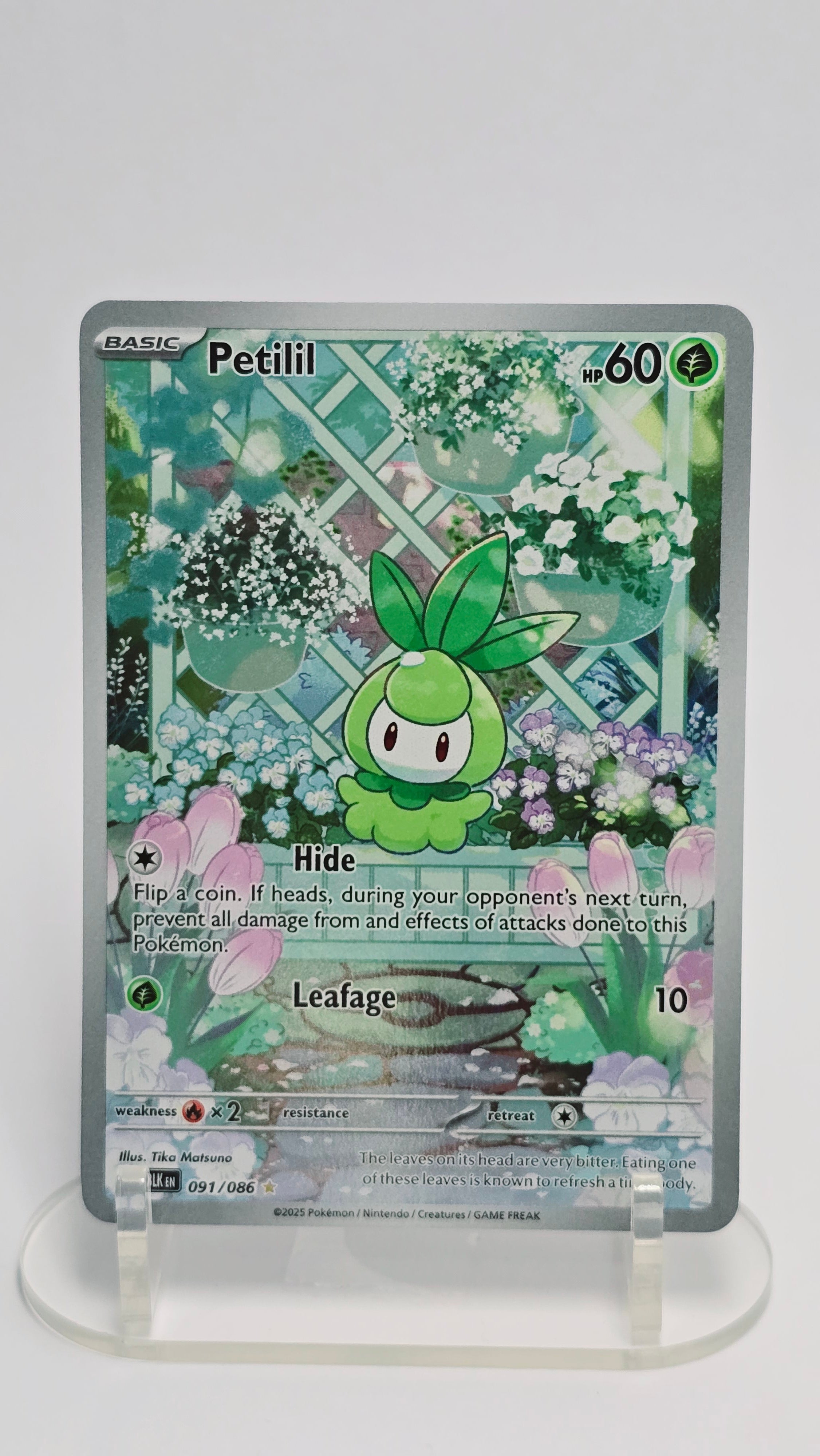 Petilil - Black Bolt - IR 091/086 - English