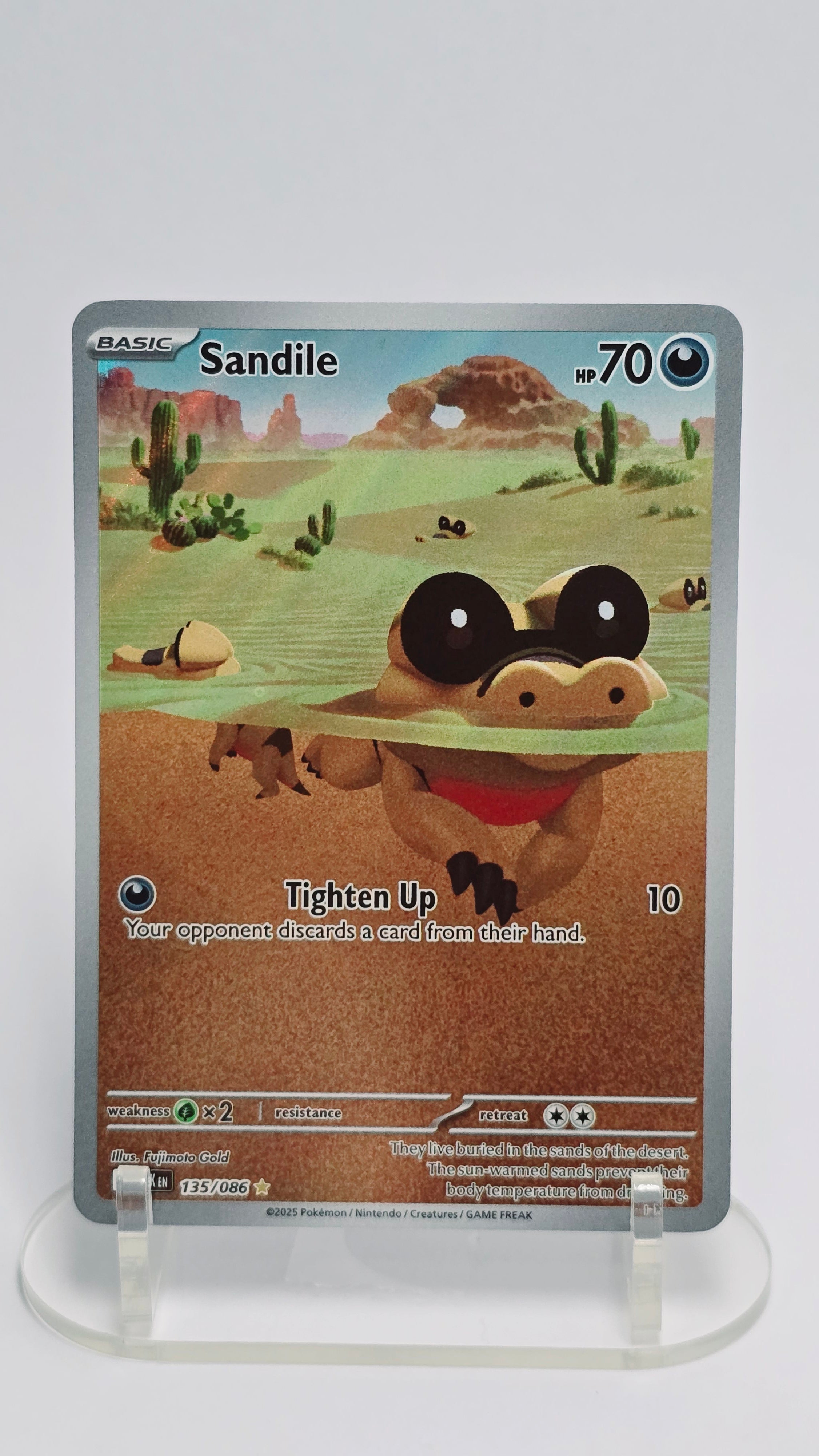 Sandile - Black Bolt - IR 135/086 - English