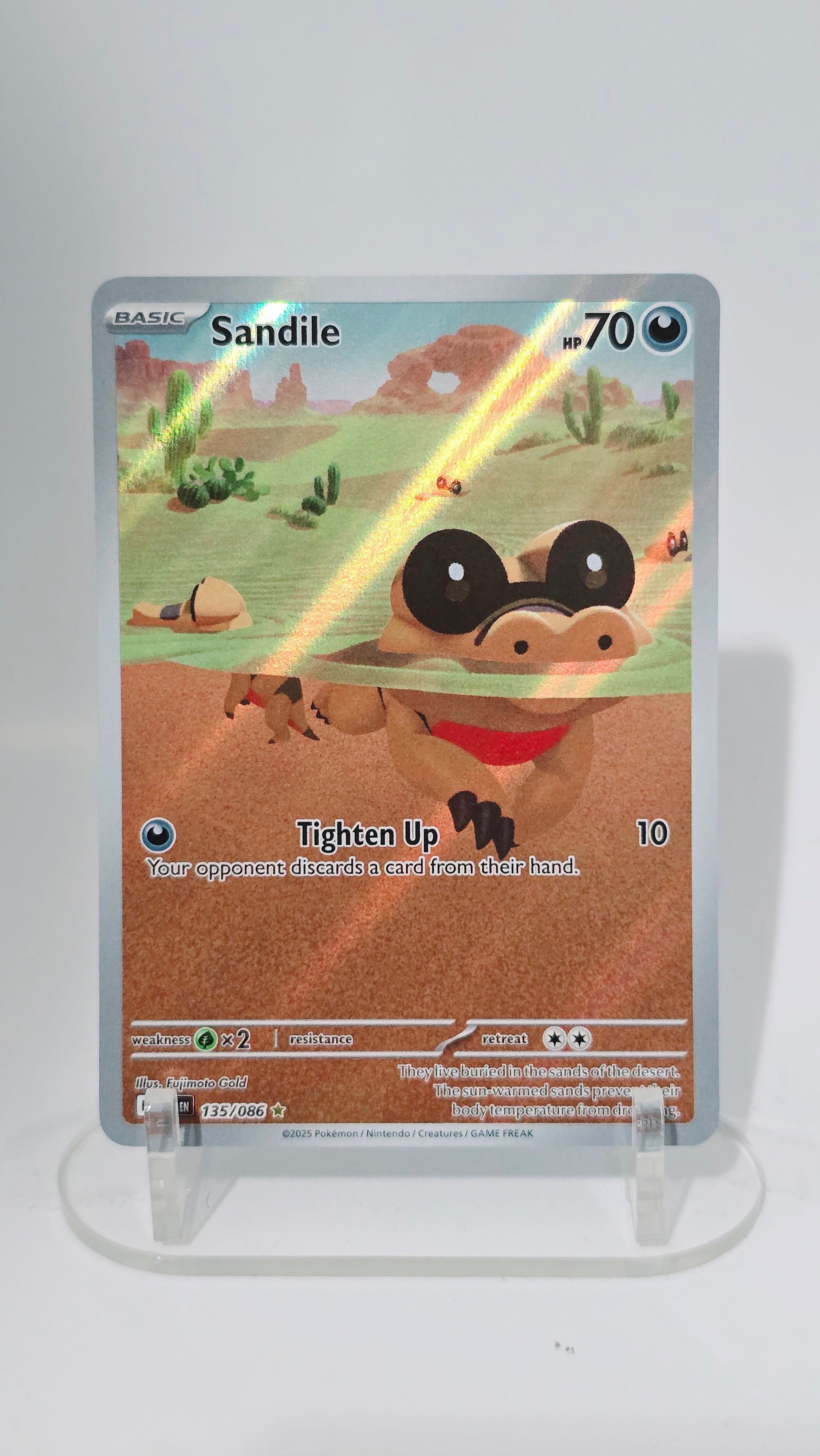 Sandile - Black Bolt - IR 135/086 - English