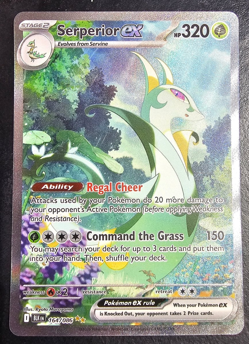 Black Bolt Serperior ex 164/086 by PlayVault on MYNTED
