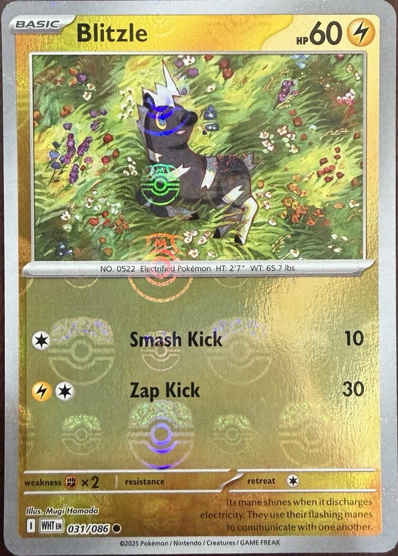 Blitzle - 031/086 (Master Ball Pattern) - SV: White Flare (WHT) by SAFAQATI on MYNTED