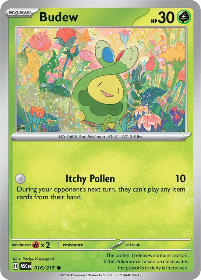 Budew 016 - Ascended Heroes by PokéPW on MYNTED