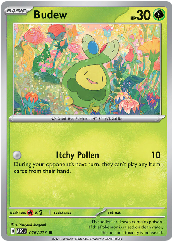 Budew 016/217 Common | Mega Evolution – Ascended Heroes by Worth the XP on MYNTED
