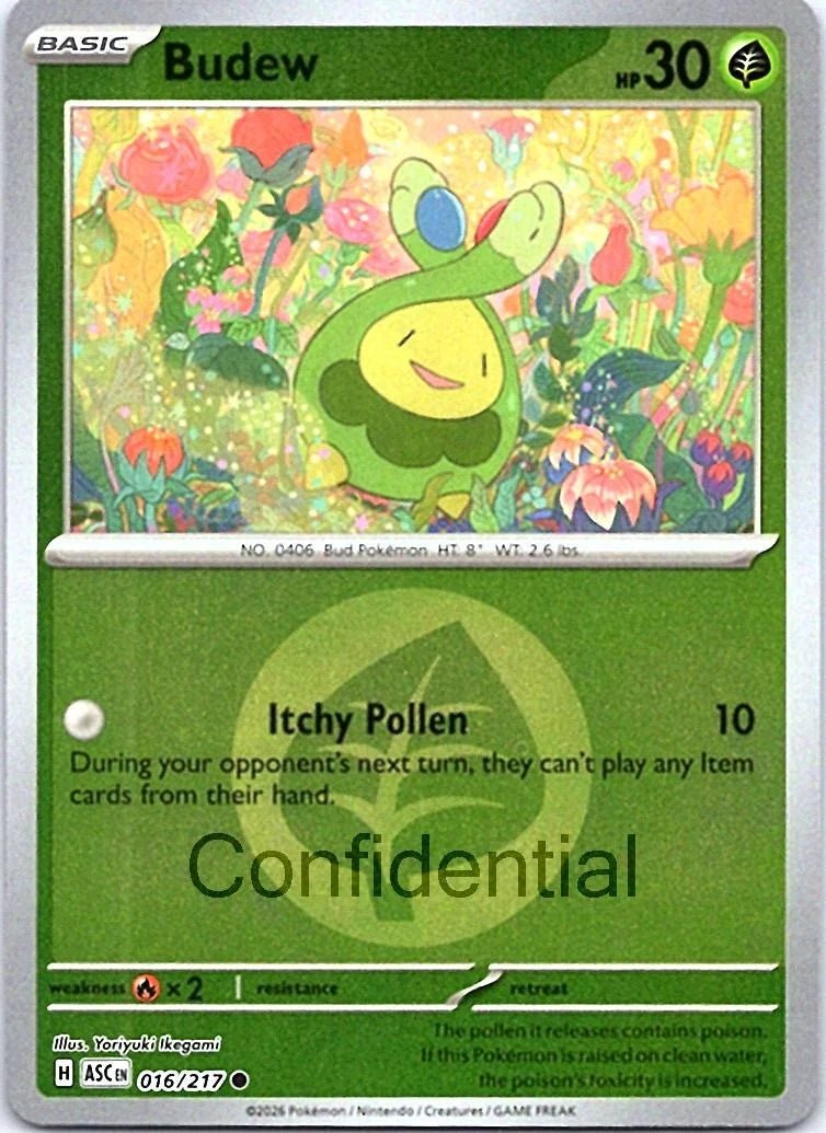 Budew - 016/217 (Energy Symbol Pattern) - ME: Ascended Heroes (ASC) by SAFAQATI on MYNTED