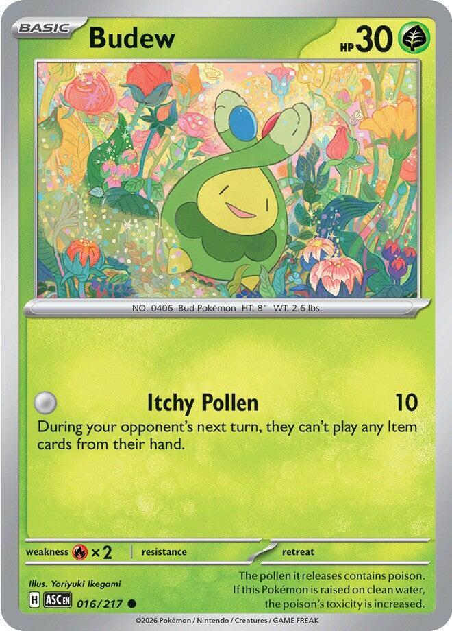 Budew - 016/217 - ME: Ascended Heroes (ASC) by TCGDON on MYNTED
