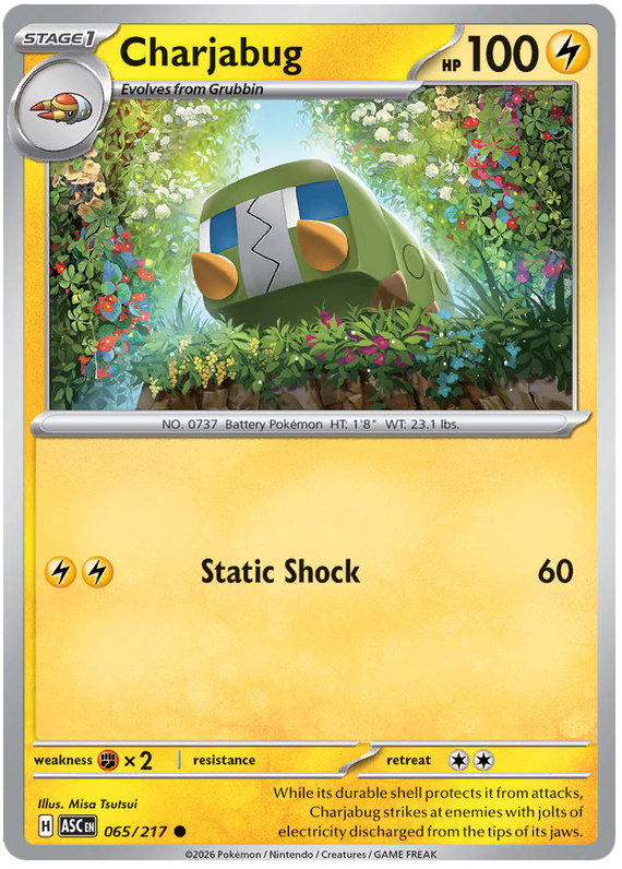 Charjabug 065/217 Common | Mega Evolution – Ascended Heroes by Worth the XP on MYNTED